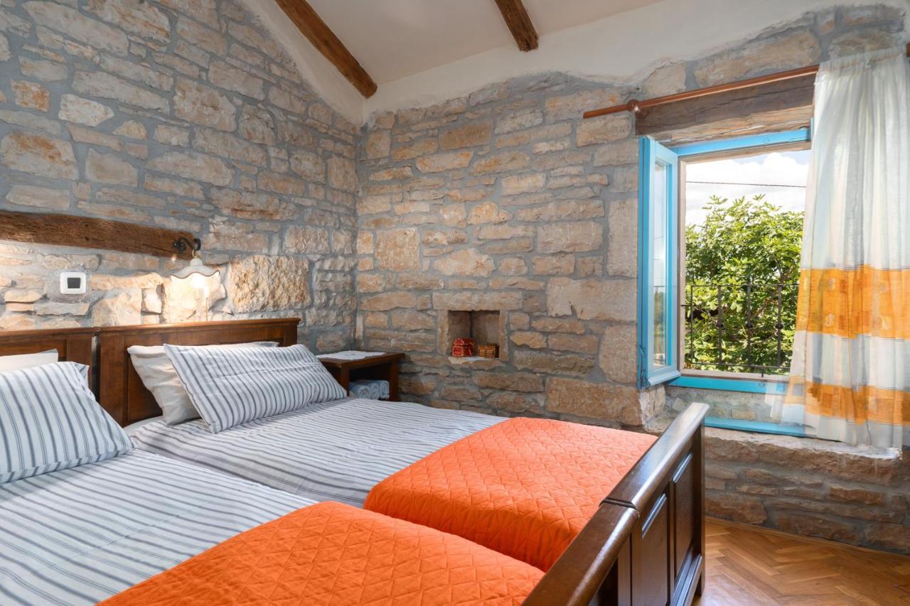 Villa Janko Sveti Lovreč Pazenatički エクステリア 写真