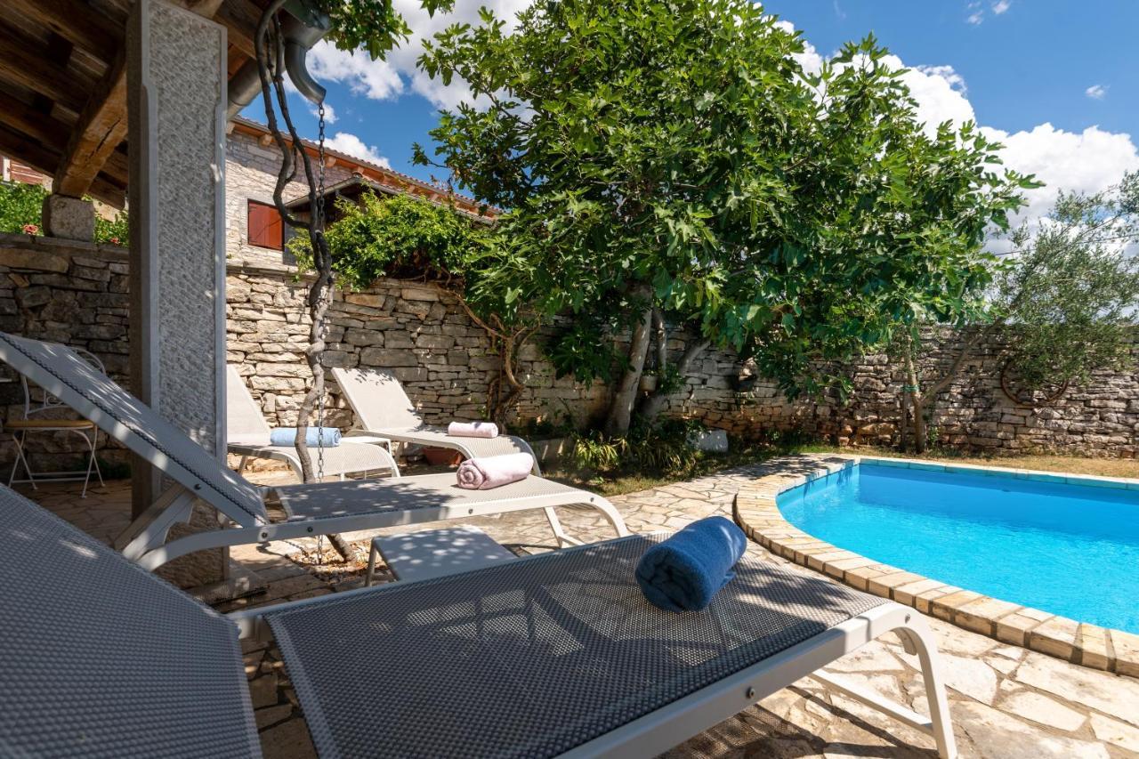 Villa Janko Sveti Lovreč Pazenatički エクステリア 写真