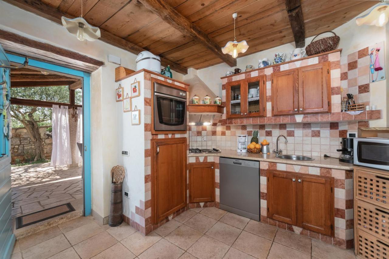 Villa Janko Sveti Lovreč Pazenatički エクステリア 写真